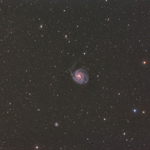 M101銀河群