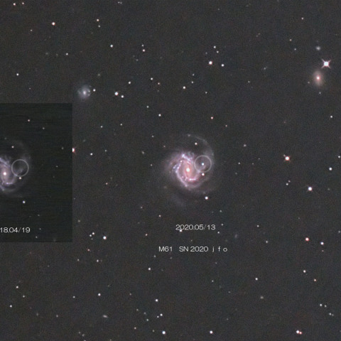 M61のSN2020jfo