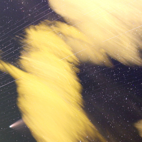 ネオワイズ観望を邪魔するスターリンク