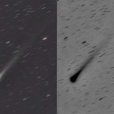 レナード彗星2021.12/05早朝