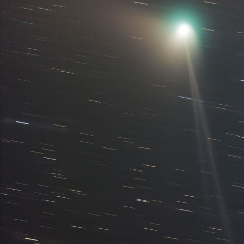 ZTF彗星C/2022 E3 2023.01/31未明