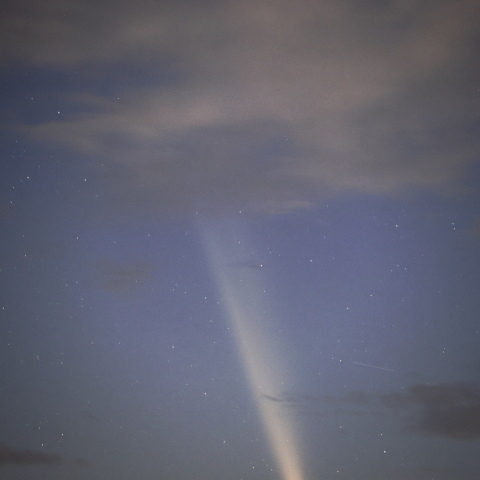 241014 紫金山・アトラス彗星