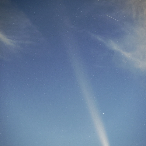 241015 紫金山・アトラス彗星