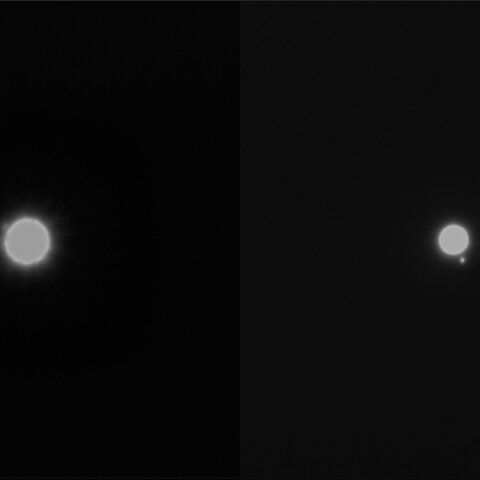 シリウスBとリゲルBC