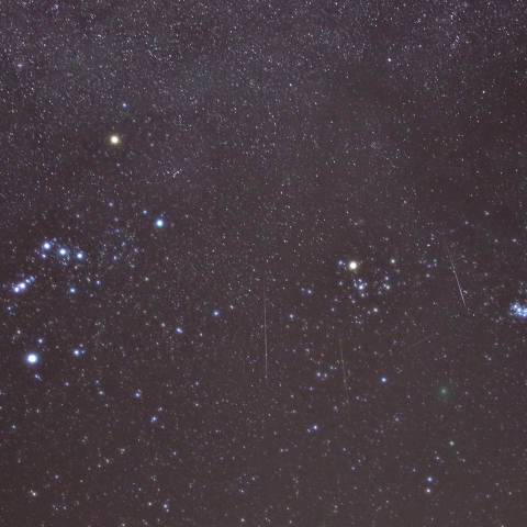 ふたご座流星群と冬の星座
