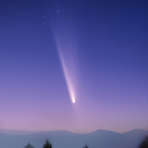 紫金山・アトラス彗星