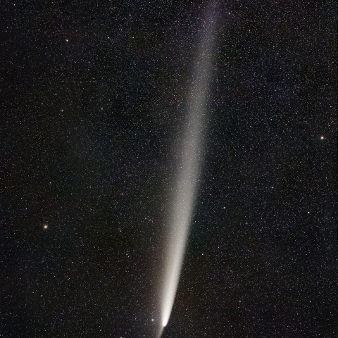 紫金山・アトラス彗星