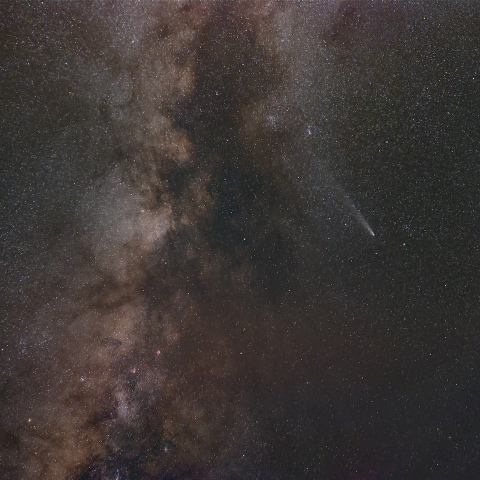 紫金山・アトラス彗星