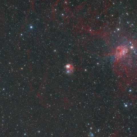 ぎょしゃ座のスパイダー星雲とハエ星雲