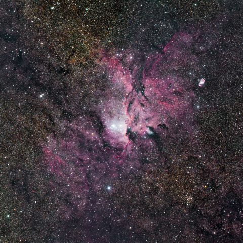 NGC6188（祭壇のドラゴン）