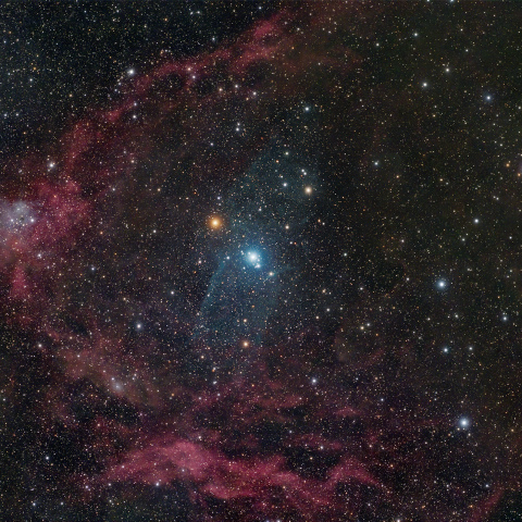 フライングバット星雲とダイオウイカ