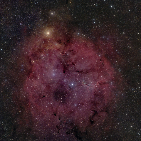 IC1396
