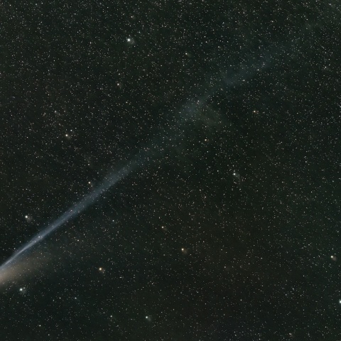 Lemmon彗星　C/2025 A6　