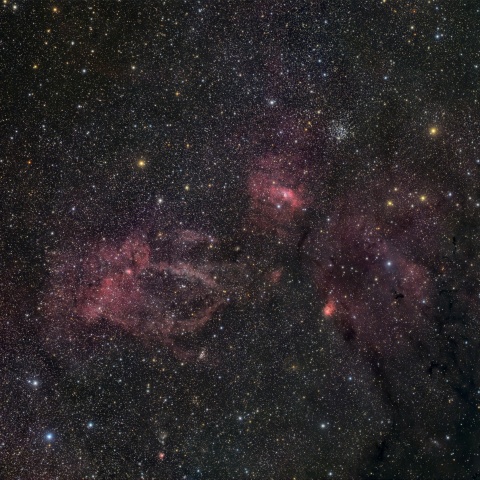 M52,バブル星雲,クワガタ星雲