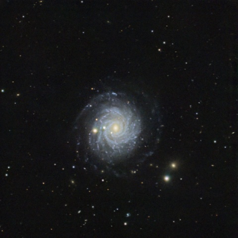 NGC3344