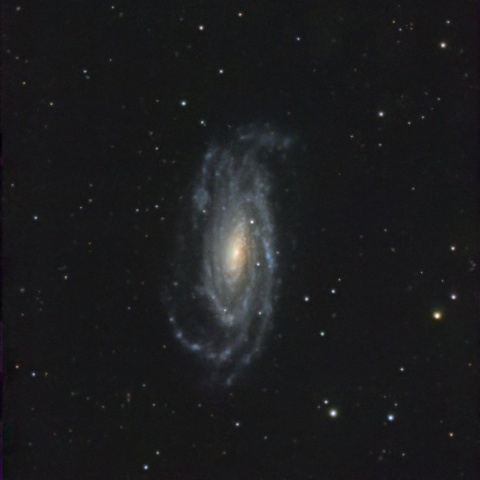 NGC5033