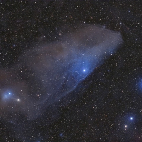 青い馬星雲