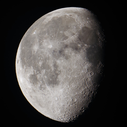 月齢18.4 (2023/11/2)