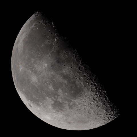 月齢20.4 (2023/11/5)