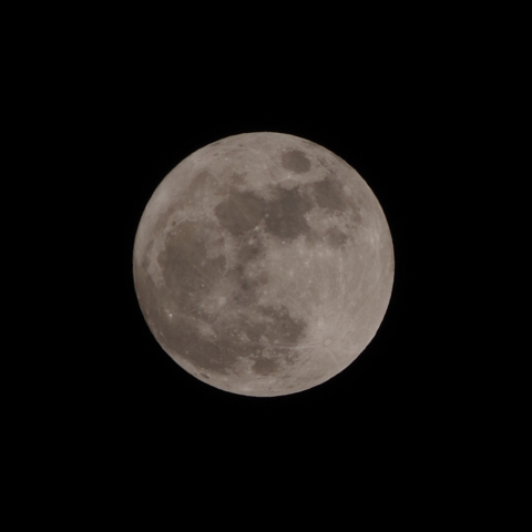 ハンターズ・ムーン