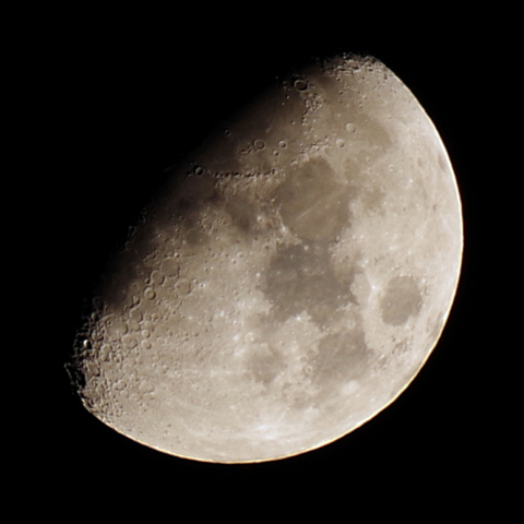 月齢8.2(2021年11月13日)