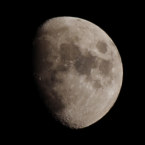 月齢9.2(2021年11月14日)