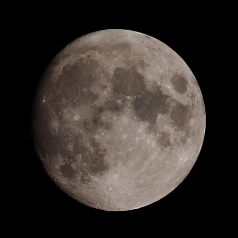 月齢12.2(2021年11月17日)