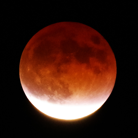 部分月食(2021年11月19日)