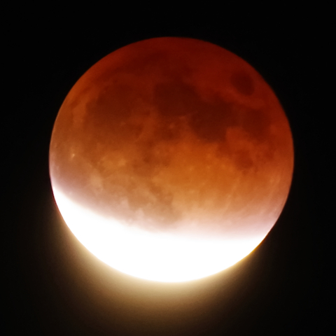 部分月食(2021年11月19日)