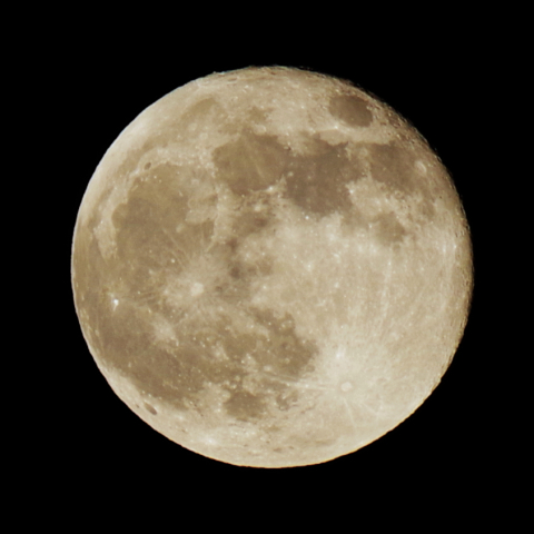 月齢15.2 (2021年11月20日)