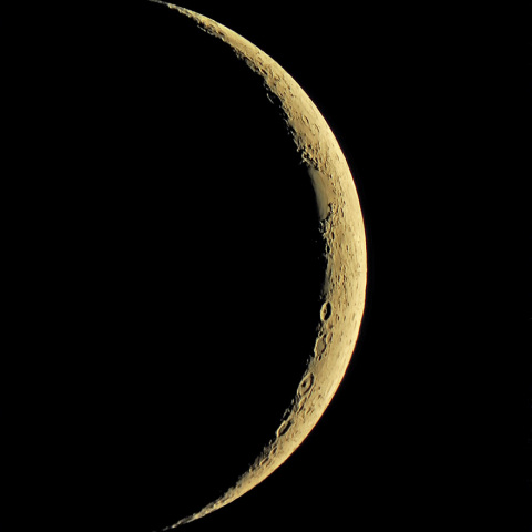 月（2024年2月12日）