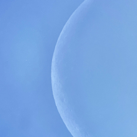 火星食（2024年5月5日）