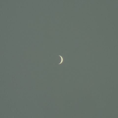 金星（2023年7月22日）