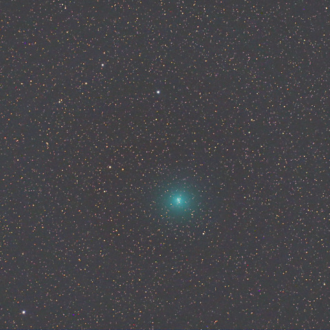 No.356 星 宙「巨木」F20（727×606mm）原画 No.356 星 宙「巨木」F20（727×606mm）原画 - メルカリ