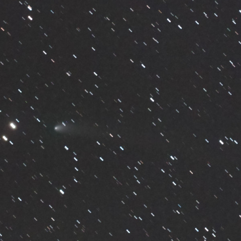 サイディング・スプリング彗星（C/2007 Q3）