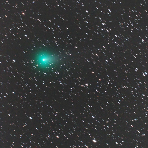 ラブジョイ彗星