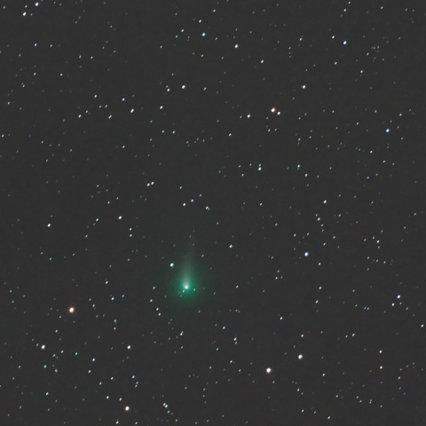 No.356 星 宙「巨木」F20（727×606mm）原画 No.356 星 宙「巨木」F20（727×606mm）原画 - メルカリ