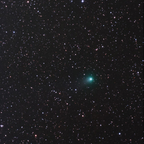 ギャラッド彗星（C/2009 P1） 