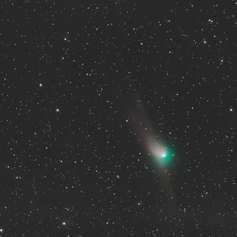 No.356 星 宙「巨木」F20（727×606mm）原画 No.356 星 宙「巨木」F20（727×606mm）原画 - メルカリ