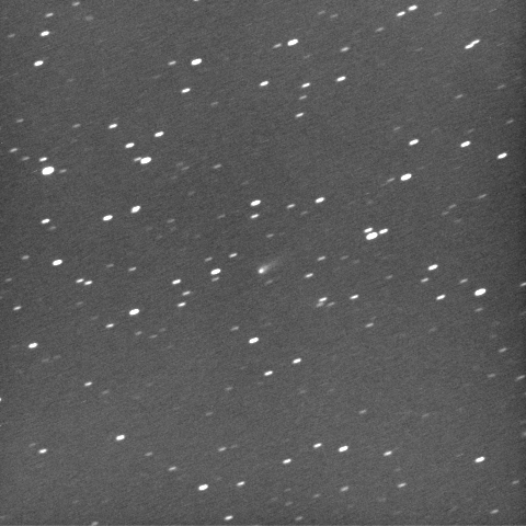 8/26早朝のアイソン彗星