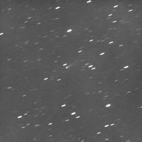 9/1明け方のアイソン彗星