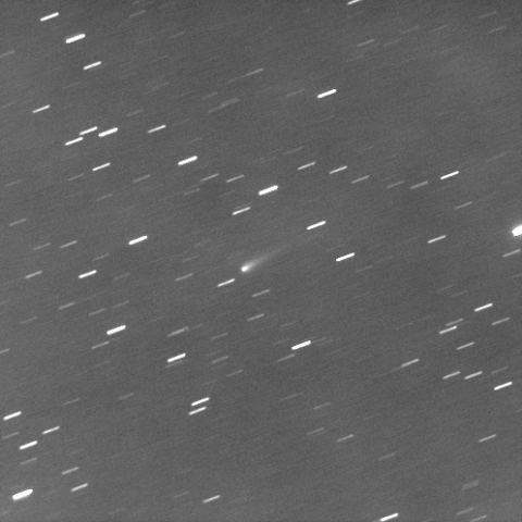 9/12明け方のアイソン彗星