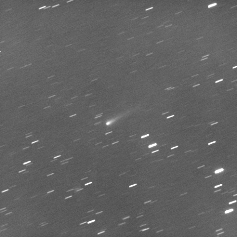 9月19日のアイソン彗星
