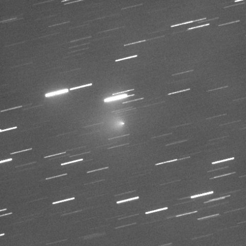 10/10のエンケ彗星