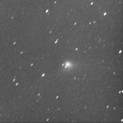 梅雨明け間近、明け方に6等級で見え始めたジャック彗星