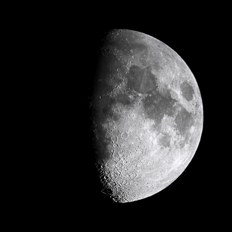 月齢9.2 (2018.10.18)