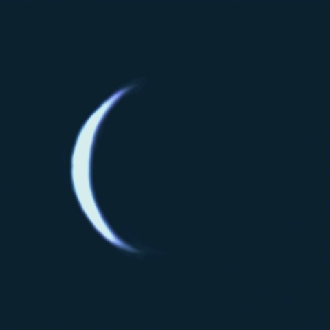 金星(2018.11.11午前9時)