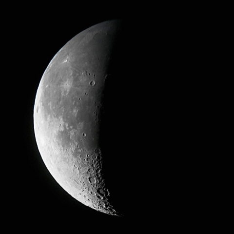 月齢23.5(2018.12.31)