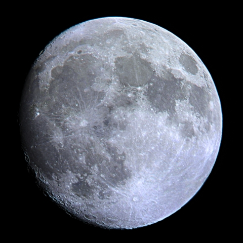 月齢13.4(2019.1.19)