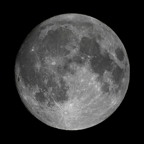 月齢14.4(2019.1.20)